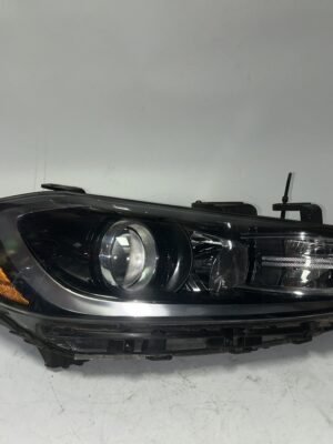 IMG_0011 2017-2018 Hyundai Elantra Halogen Right Passenger HeadLight OEM