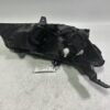 IMG_3318 2019-2024 Chevy Malibu Halogen Headlight Left Driver Side w/bulb 84650573 OEM
