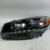 2019 2020 Kia Sorento Halogen w/LED Headlight Left Driver Side LH OEM